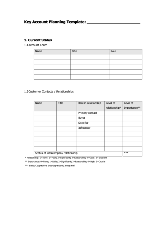 Key Account Planning Template printable pdf download