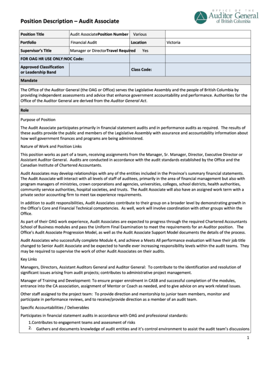 Position Description - Audit Associate Printable pdf