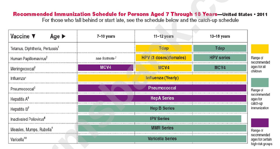 Recommended Immunization Schedule