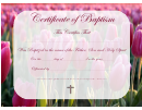 Certificate Of Baptism