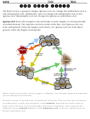 The Rock Cycle Worksheet Template