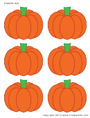 Pumpkin Cut Out Template