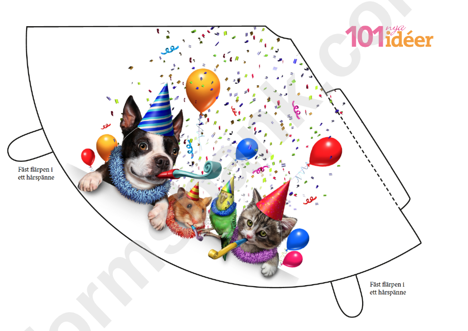 Colorful Birthday Party Hat Template