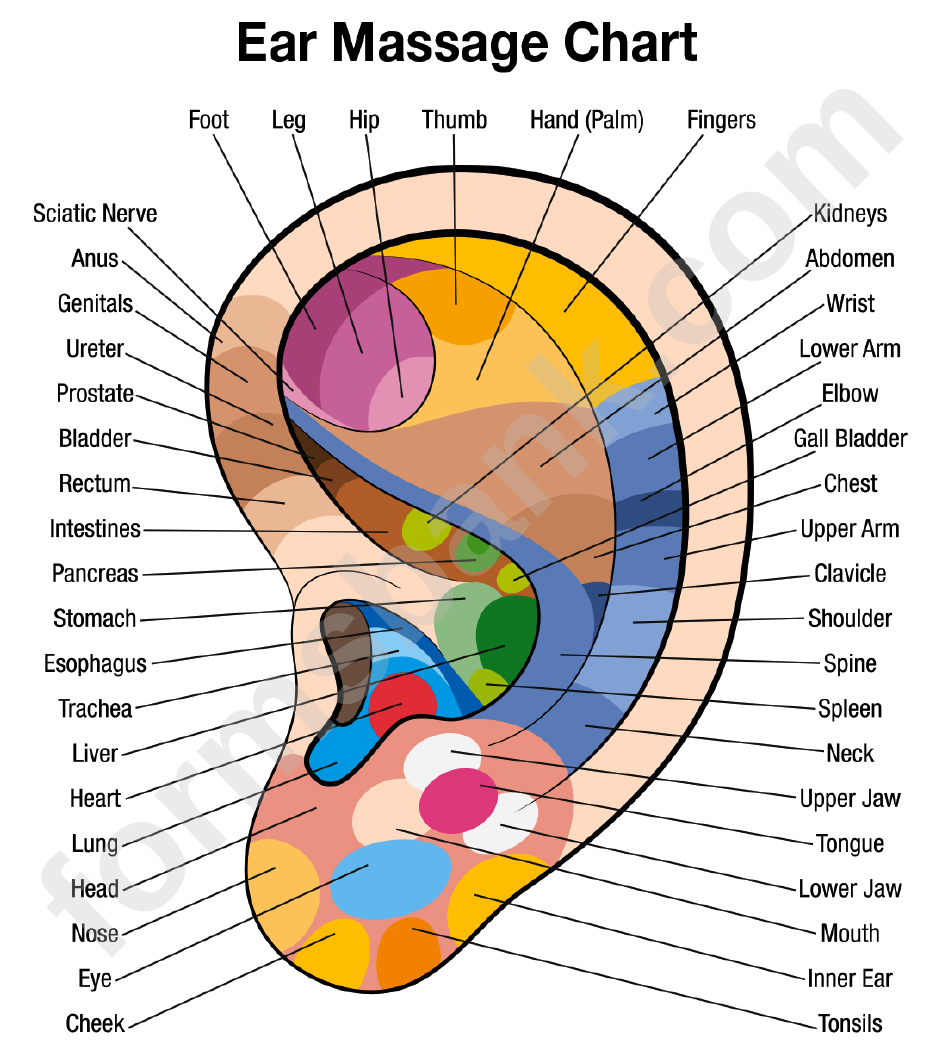 Ear Massage Chart