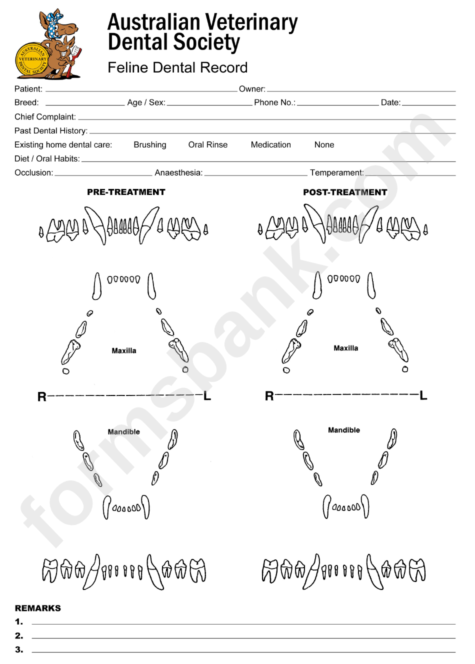 Feline Animal Teeth Chart printable pdf download