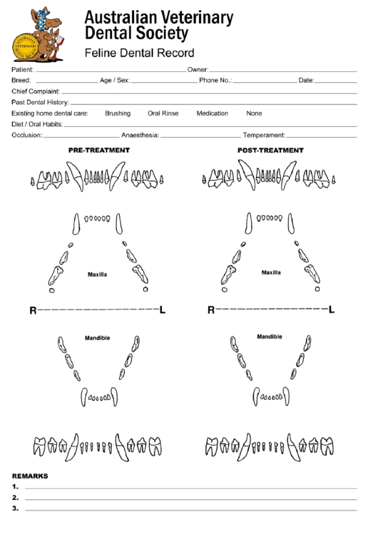 Feline Animal Teeth Chart Printable pdf