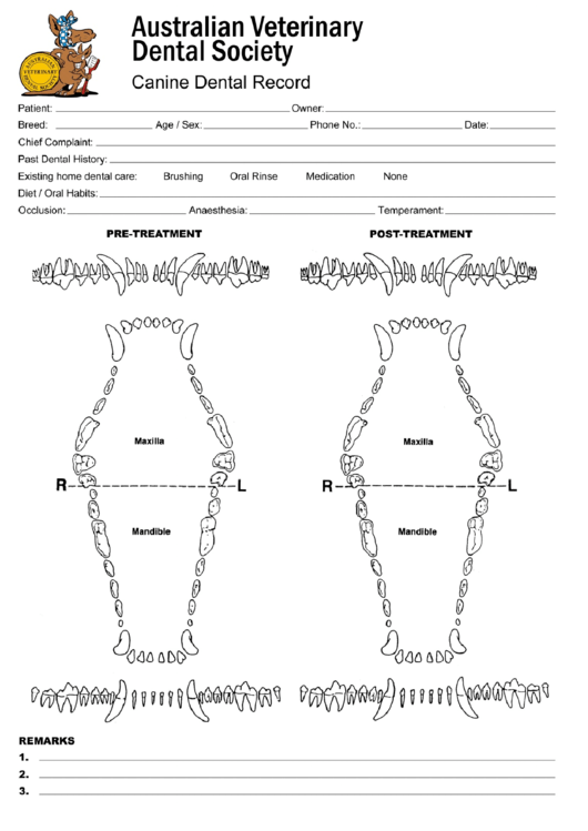 Canine Animal Teeth Chart printable pdf download
