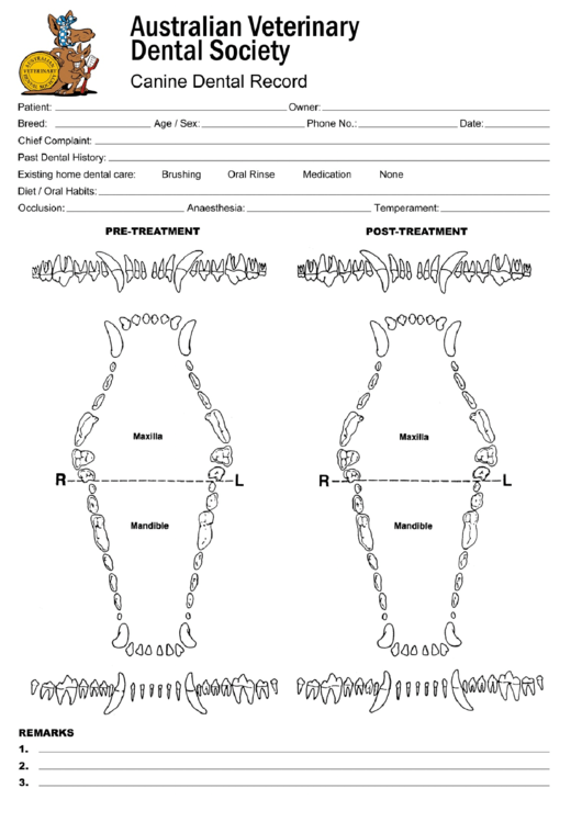 Printable Canine Dental Chart Customize And Print