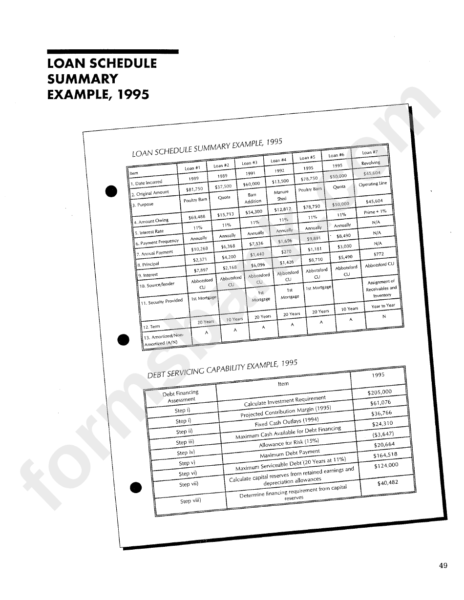Agricultural Financial Plan Template - Chicken Broiler Example