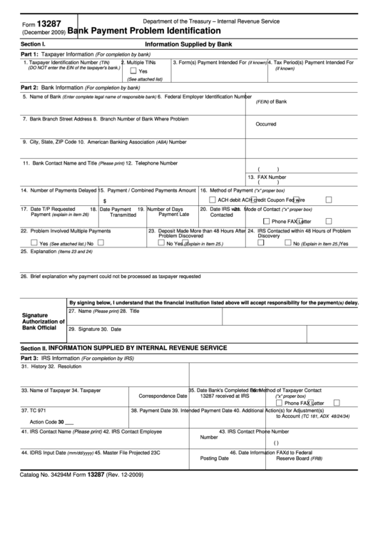 Form 13287 - Bank Payment Problem Identification Printable pdf
