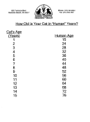 Your Cats Age In Human Years