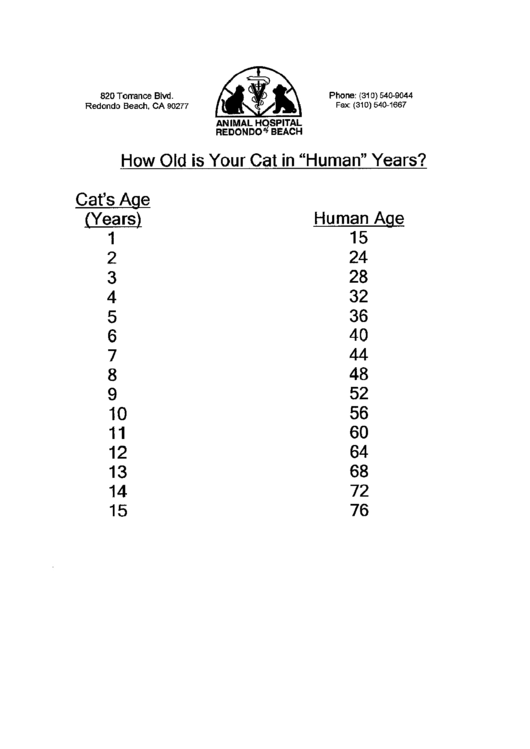 Your Cats Age In Human Years Printable pdf