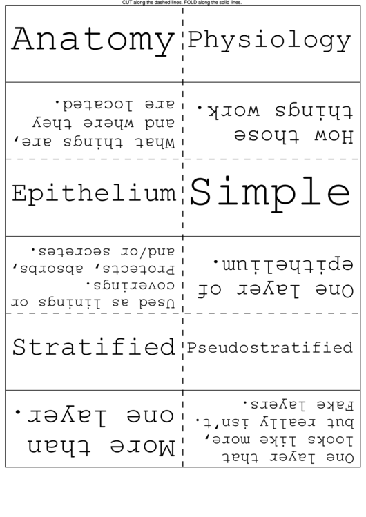 Word Flash Card Template Printable pdf