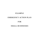 Example Emergency Action Plan For Small Businesses