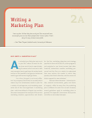 Marketing Plan Guidelines And Sample