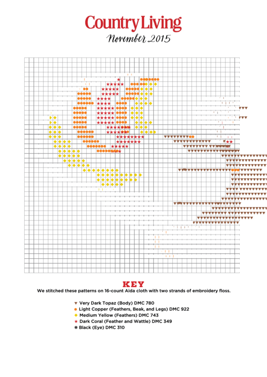 Country Living Cross-Stitch Pattern - Turkey Printable pdf
