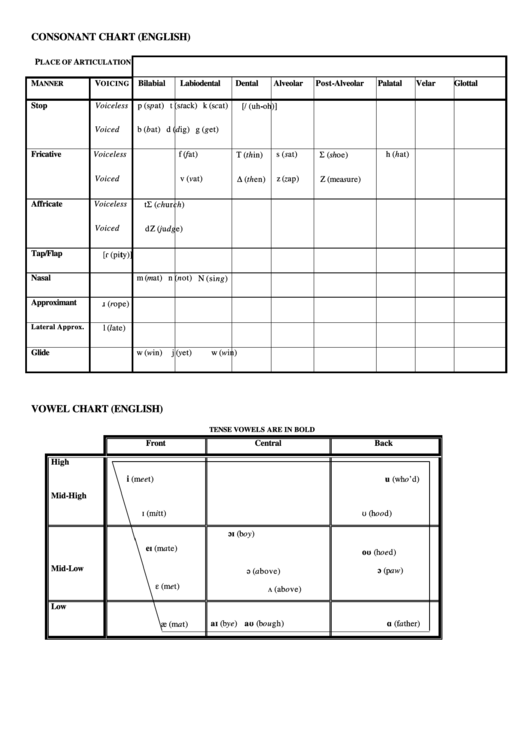 Consonant And Vowel Articulation Chart (English) Printable pdf