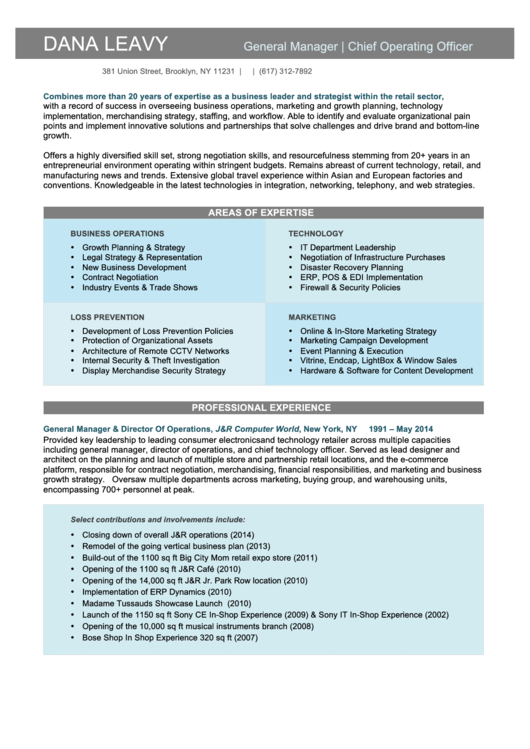 General Manager/chief Operating Officer Sample Resume Template Printable pdf