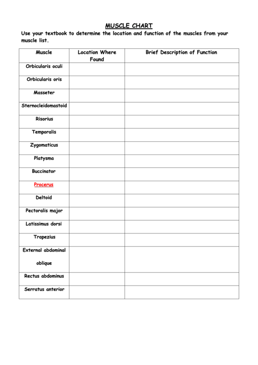 Muscle Chart Worksheet Printable pdf