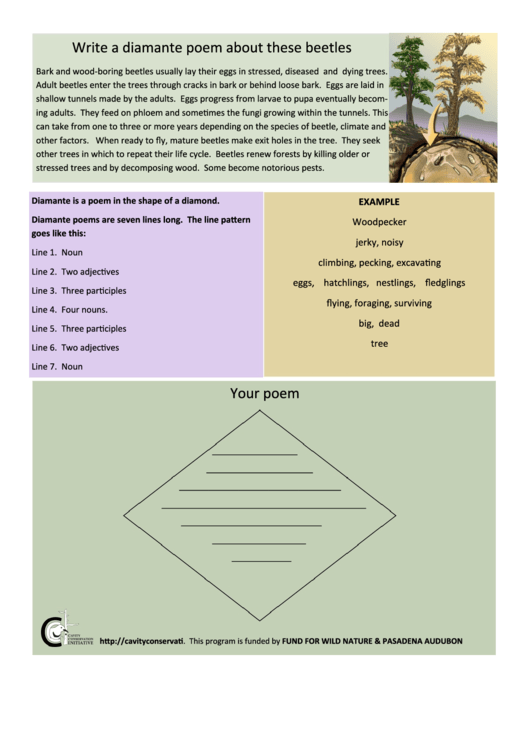 Diamante Poem Template Printable pdf