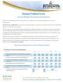 Brunswick Employee Feedback Survey