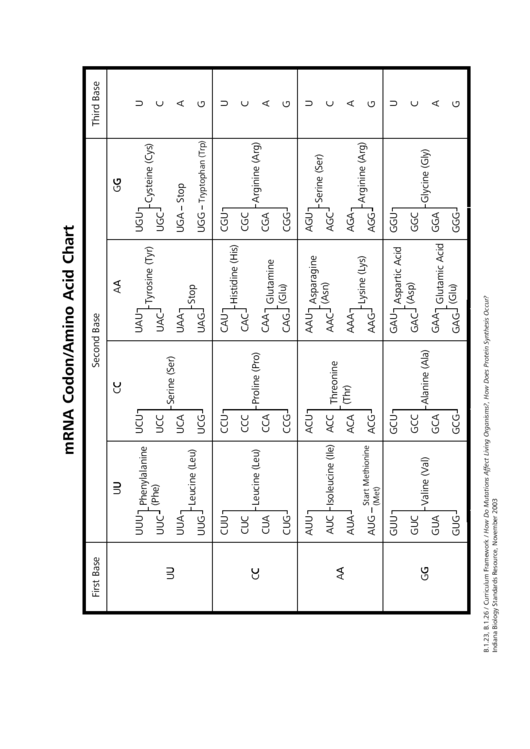 Mrna Codon Amino Acid Chart Printable pdf