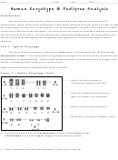 Human Karyotype Pedigree Analysis