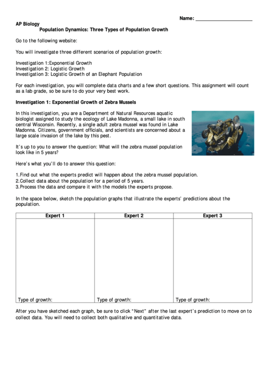 Population Dynamics: Three Types Of Population Growth Printable pdf