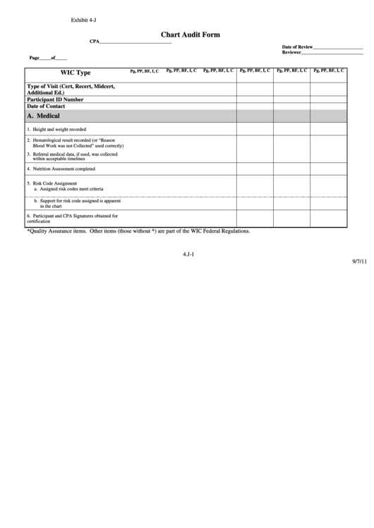Chart Audit Form Printable pdf