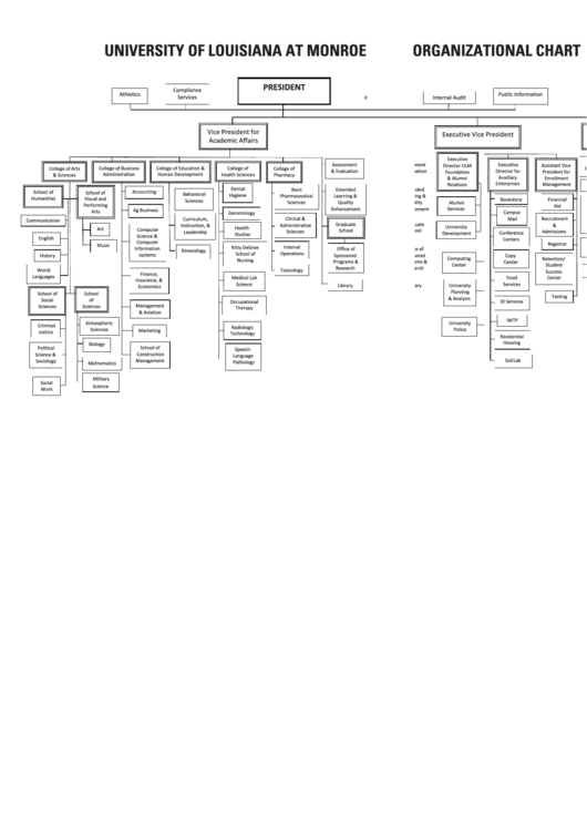 University Organization Chart Printable pdf