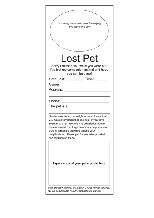 Lost Pet Poster Template