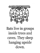 Bats Coloring Page