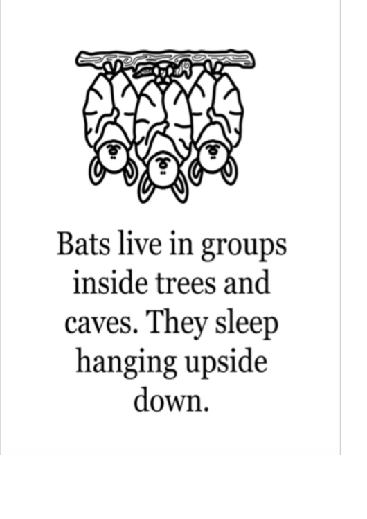 Bats Coloring Page Printable pdf