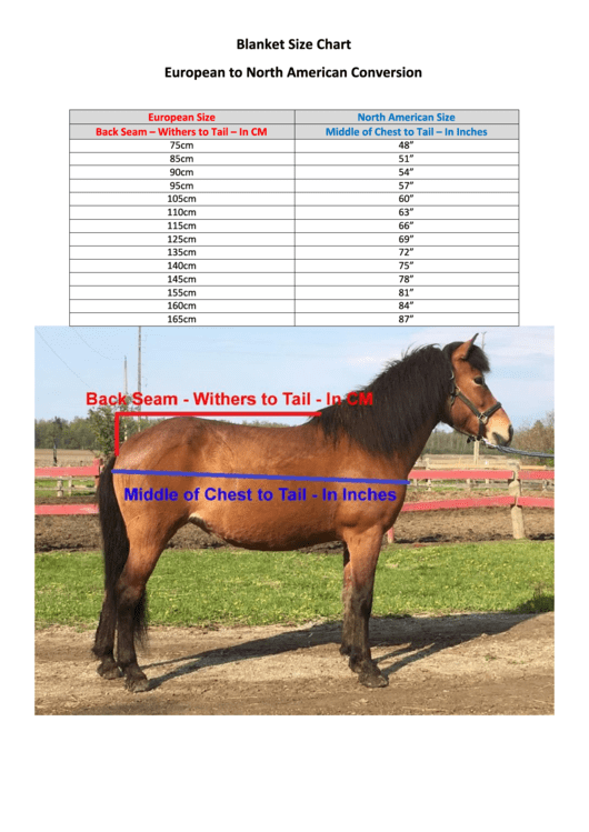 Eaglewood Equestrian Horse Blanket Size Chart - European To North American Conversion Printable pdf