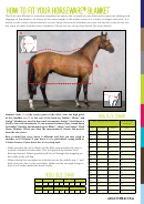 Horseware Horse Blanket Size Chart