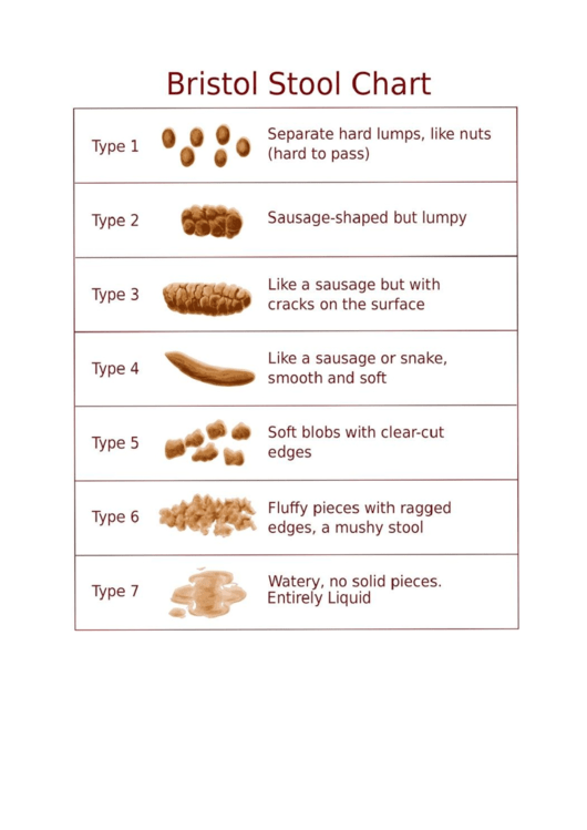 Top 6 Bristol Stool Charts Free To Download In PDF Format