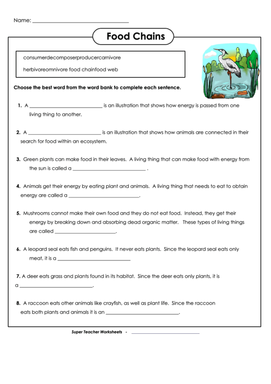 Food Chains Biology Worksheet printable pdf download