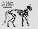 Cat Skeleton Jack-o-lantern