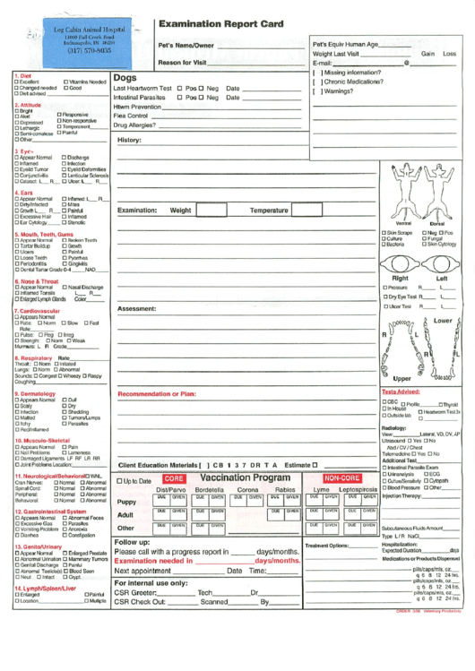 Pet Examination Report Card Template Printable pdf