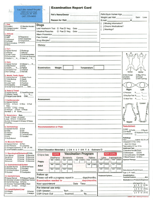 pet-examination-report-card-template-printable-pdf-download