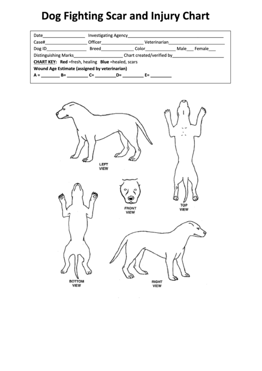 Dog Fighting Scar And Injury Chart Printable pdf
