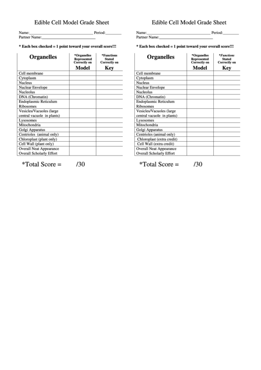 Edible Cell Model Grade Sheet Biology Worksheets Printable pdf