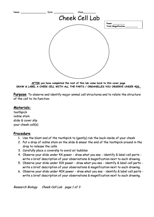 Cheek Cell Lab Biology Worksheets Printable pdf