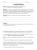 Owl Pellet Dissection - Dearborn High School Printable pdf