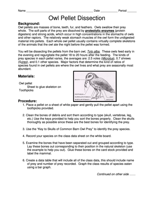 Owl Pellet Dissection - Triton Science Printable pdf