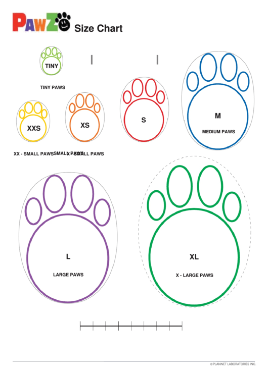 Pawz Dog Shoe Size Chart (japanese)