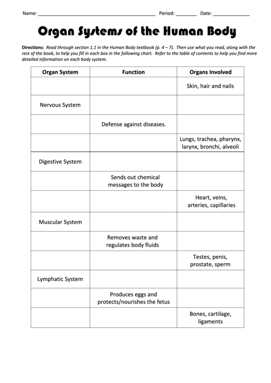 Organ Systems Of The Human Body Biology Worksheets Printable pdf