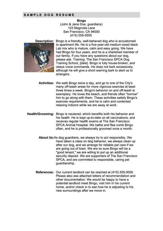 Sample Dog Resume Printable pdf