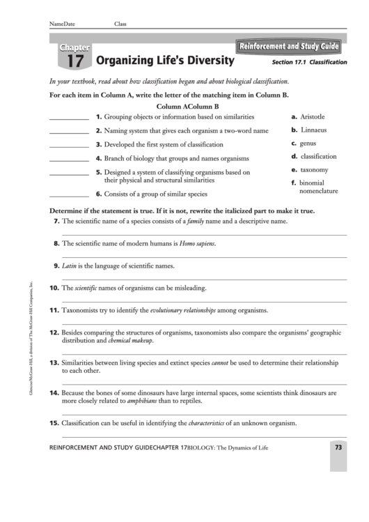 Classification - Glencoe Worksheet Printable pdf