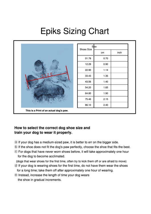 Epiks Dog Shoe Sizing Chart Printable pdf